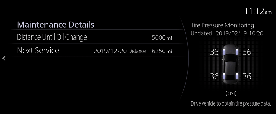 Vehicle Status Monitor